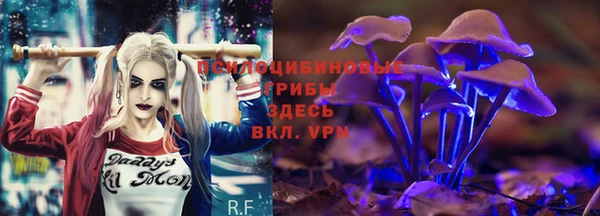 сатива Заволжск