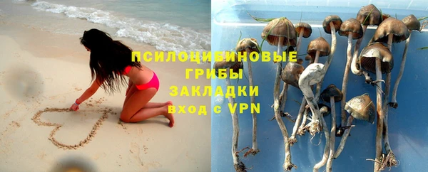 марки lsd Заводоуковск